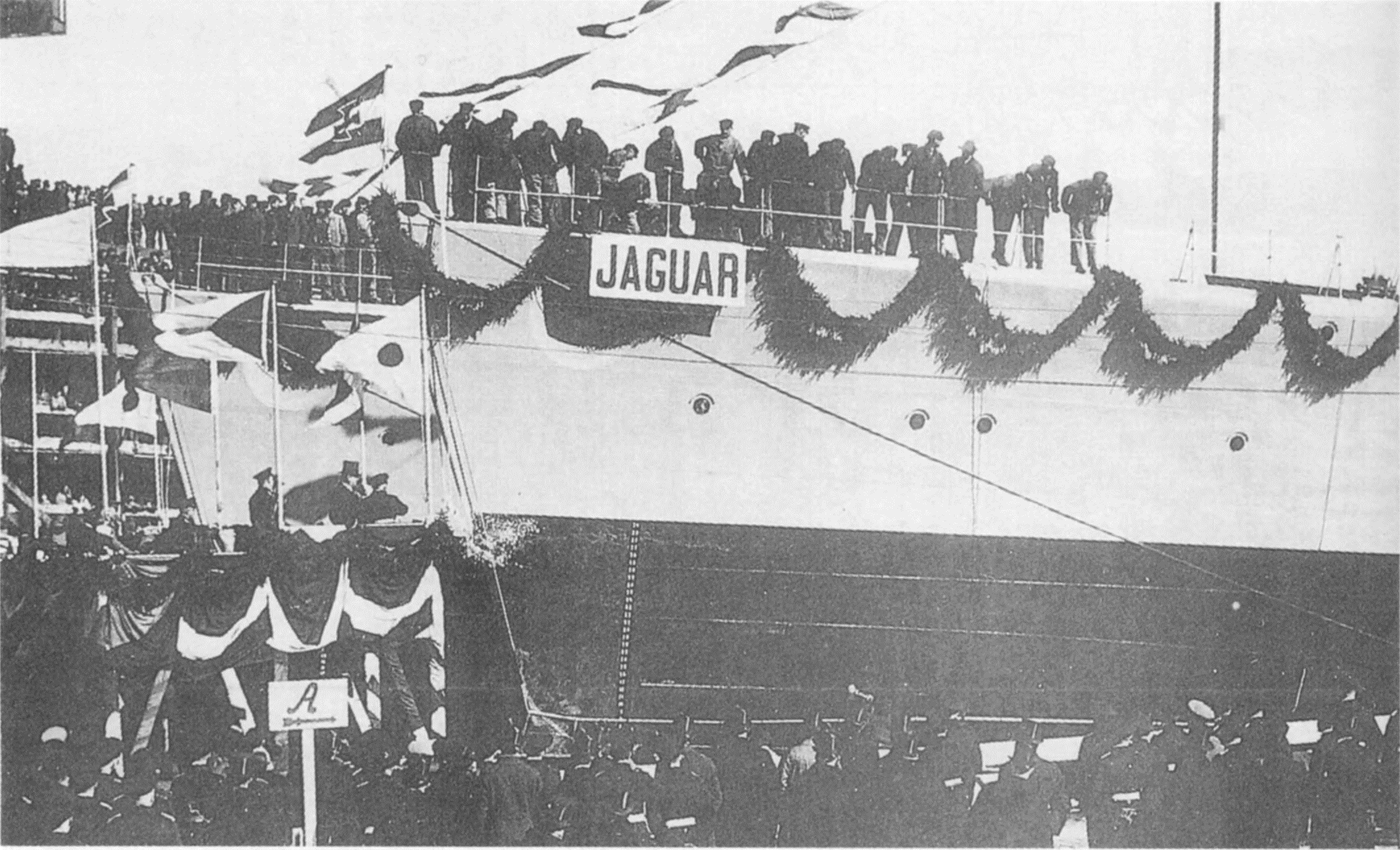 Jaguar