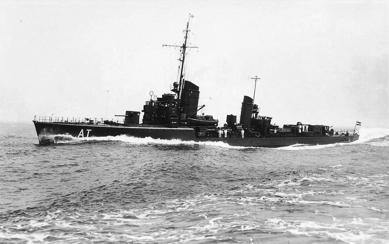 Albatross
