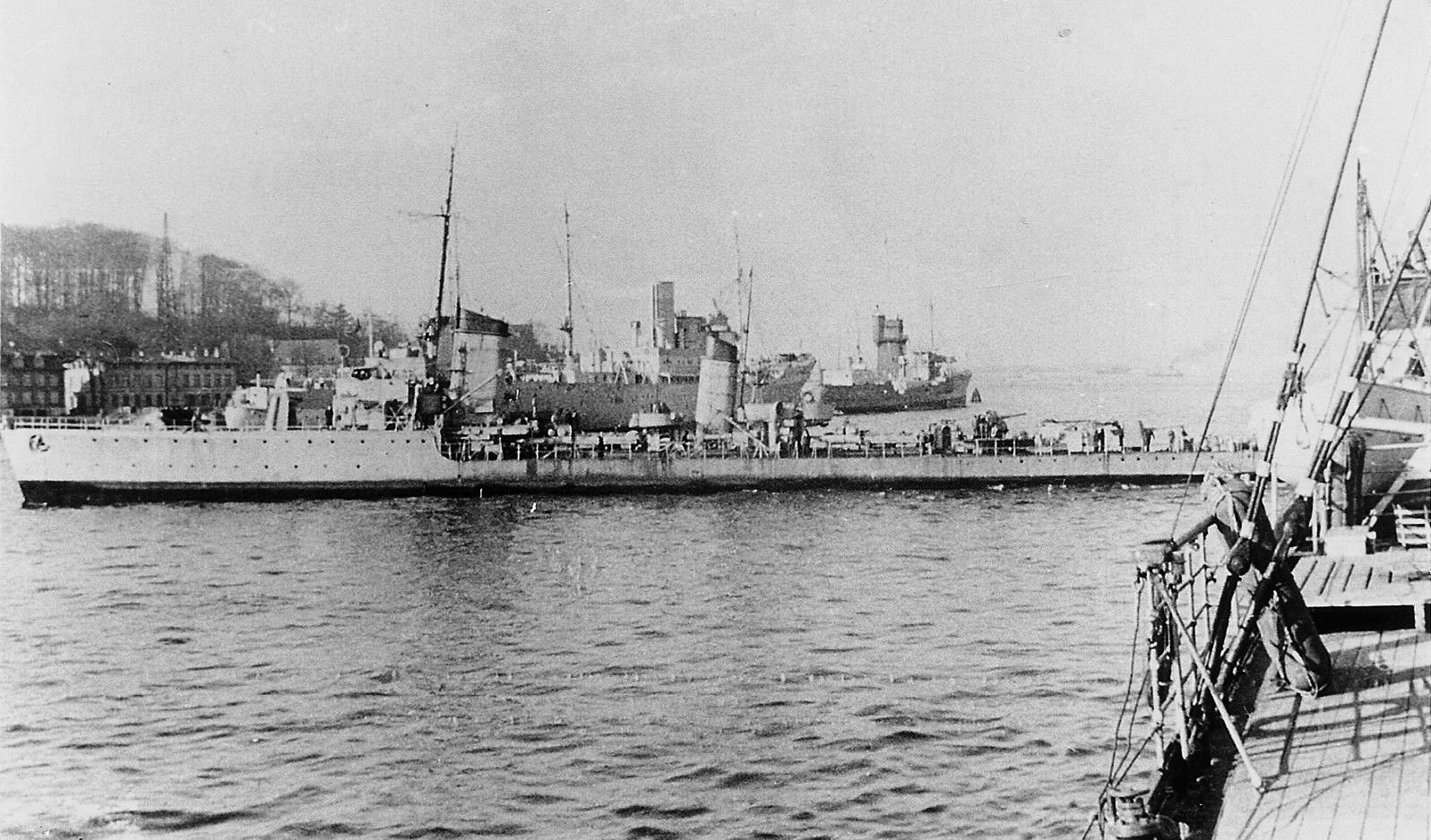Albatross
