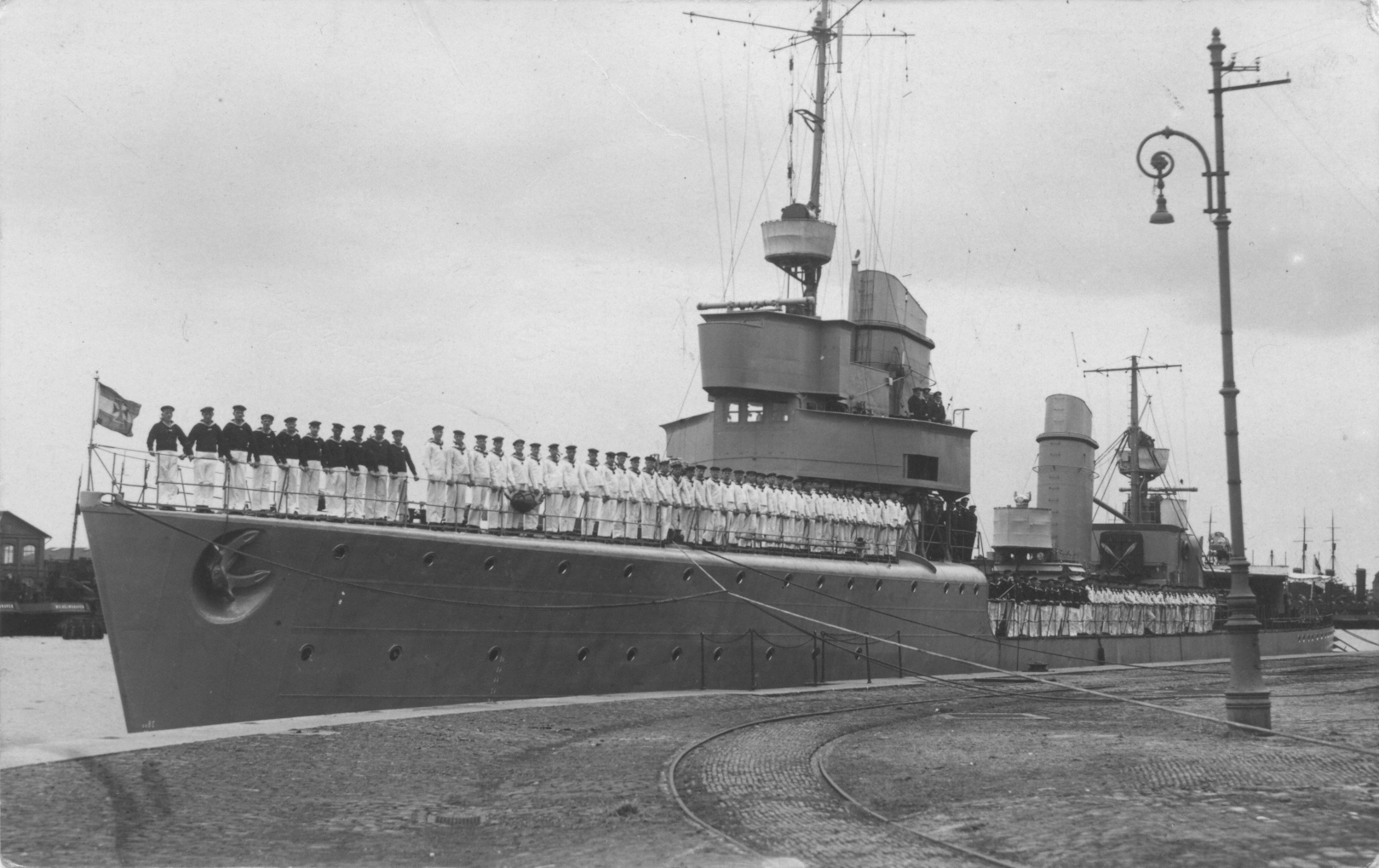 Albatross